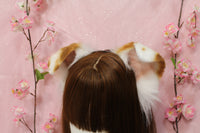 Small Floppy Puppy Ears