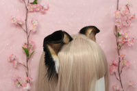 Small Floppy Puppy Ears