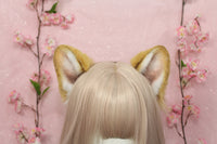 Small Floppy Puppy Ears