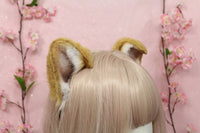 Small Floppy Puppy Ears