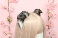 Small Floppy Puppy Ears