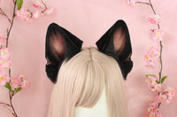 German Shepherd ears