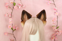 German Shepherd ears