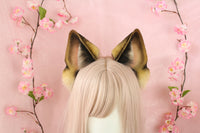 German Shepherd ears