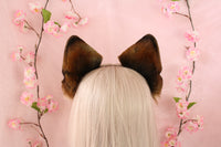 German Shepherd ears