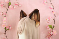 German Shepherd ears