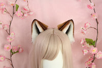 Shiba inu ears