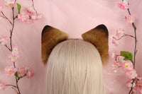 Shiba inu ears