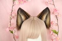 Wolf ears