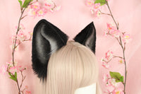 Wolf ears