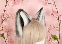 Wolf ears
