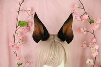 Cropped Doberman Ears