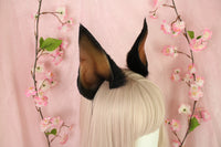 Cropped Doberman Ears