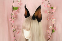 Cropped Doberman Ears