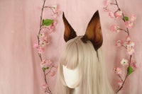 Cropped Doberman Ears