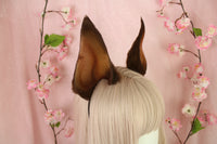 Cropped Doberman Ears