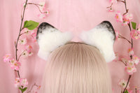 Fox ears