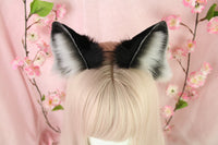 Fox ears