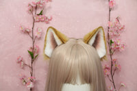 Shiba inu ears