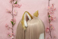 Shiba inu ears