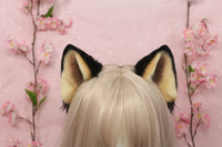 Shiba inu ears