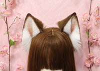 Siberian Husky ears