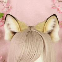 Fox ears
