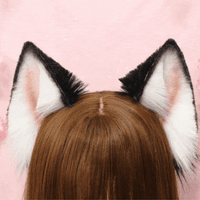 Siberian Husky ears