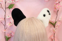 Black and white French Bulldog ears