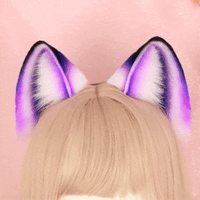 Neon Fox ears