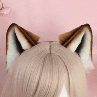 Shiba inu ears