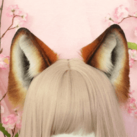 Wolf ears