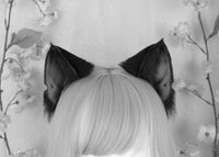 Dark Kitten Ears
