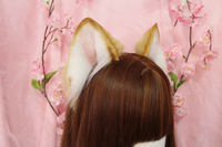 Siberian Husky ears
