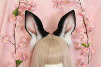Bunny ears
