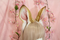 Bunny ears
