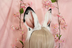 Bunny ears