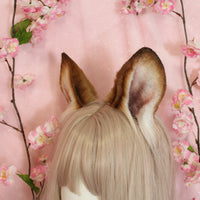 Baby Bunny Ears