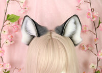 Fox ears
