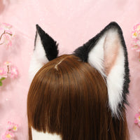 Siberian Husky ears