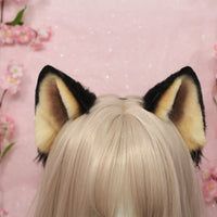Shiba inu ears