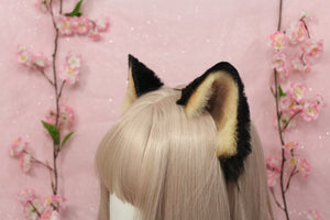 Shiba inu ears