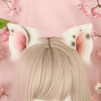Piggy Ears