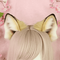 Fox ears
