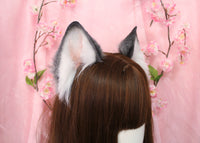 Siberian Husky ears
