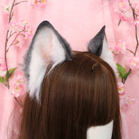 Siberian Husky ears