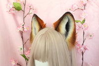 Wolf ears
