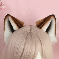 Shiba inu ears
